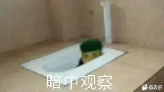 动物界里我老八,万人称我大扒鸭